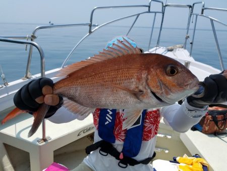 遊漁船　ニライカナイ 釣果