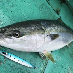 広進丸 釣果
