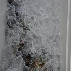 伊豆下田フィッシング 釣果