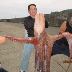 大進丸(新潟) 釣果