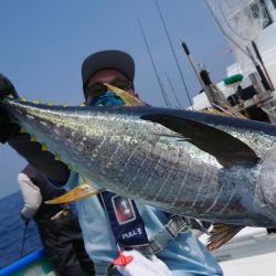 伊豆下田フィッシング 釣果