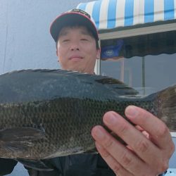 伊豆下田フィッシング 釣果