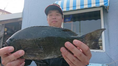 伊豆下田フィッシング 釣果