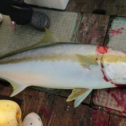 伊豆下田フィッシング 釣果