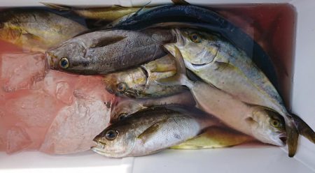 伊豆下田フィッシング 釣果