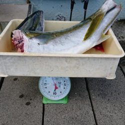 伊豆下田フィッシング 釣果