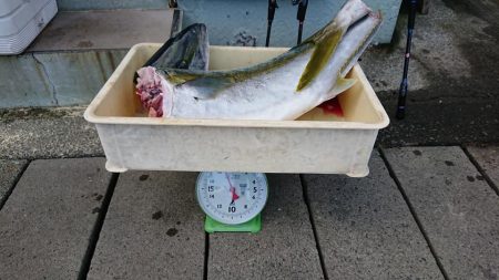 伊豆下田フィッシング 釣果