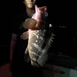 Magic(マジック) 釣果