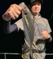 愛海丸 釣果