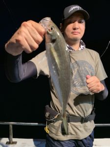 愛海丸 釣果