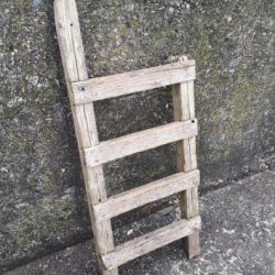 鯛！！！！グレ！！！！！