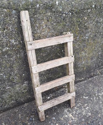 鯛！！！！グレ！！！！！