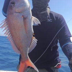 遊漁船 新鋭丸 釣果