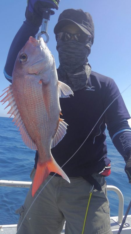 遊漁船 新鋭丸 釣果