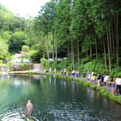 小菅トラウトガーデン 釣果