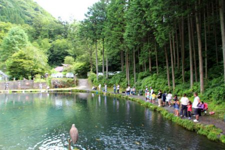 小菅トラウトガーデン 釣果