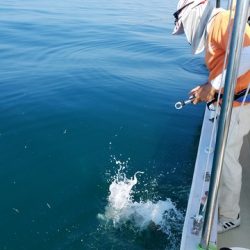 遊漁船 ニライカナイ 釣果