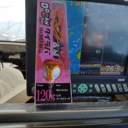 遊漁船 ニライカナイ 釣果