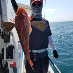 遊漁船 ニライカナイ 釣果