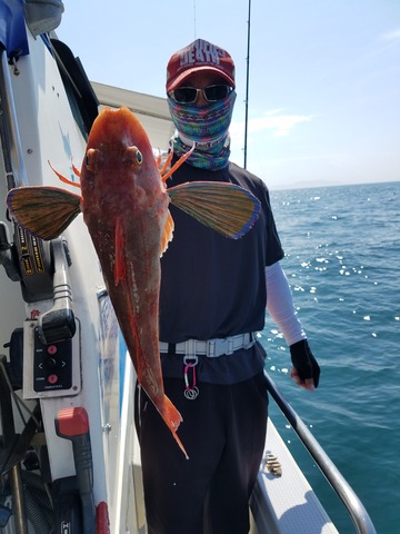 遊漁船 ニライカナイ 釣果