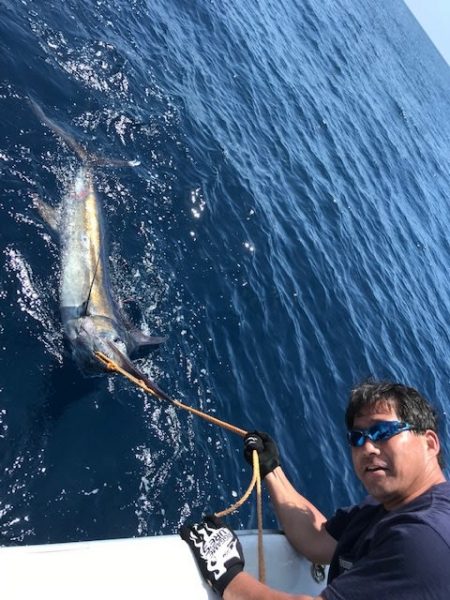 へいみつ丸 釣果