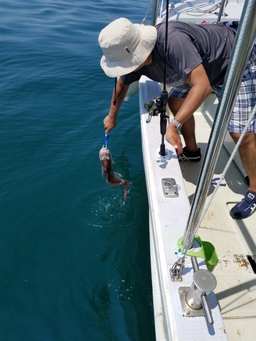 遊漁船 ニライカナイ 釣果