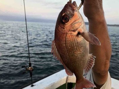 三邦丸 釣果