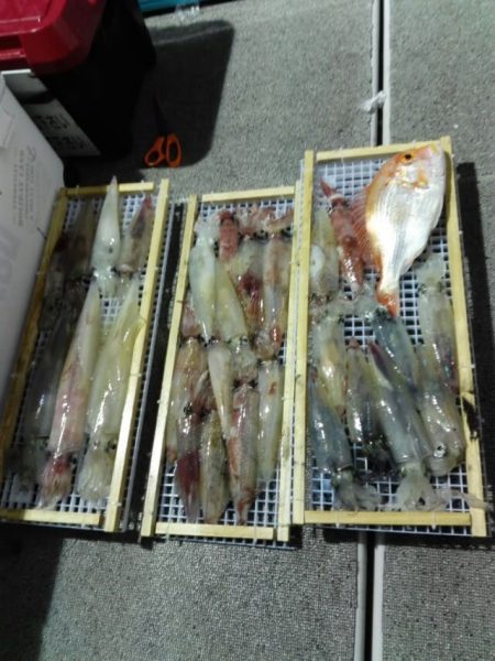 第二大福丸 釣果