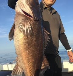 凪紗丸 釣果