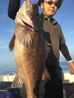 凪紗丸 釣果