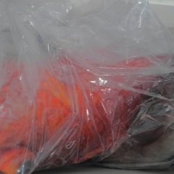 遊漁船 新鋭丸 釣果