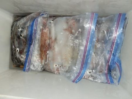 第二むつ漁丸 釣果