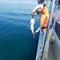遊漁船 ニライカナイ 釣果
