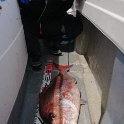 IDATEN(イダテン) 釣果