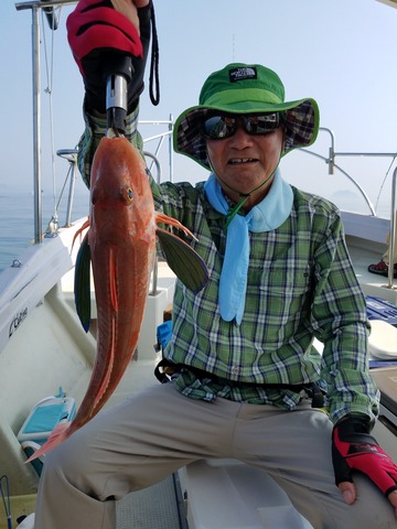 遊漁船　ニライカナイ 釣果