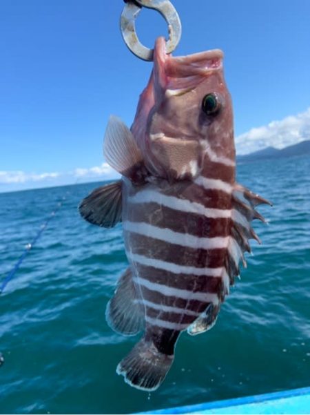 宝昌丸 釣果