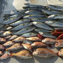 ミタチ丸 釣果