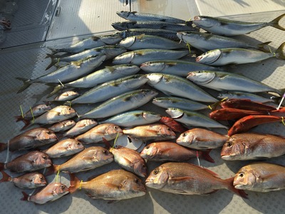 ミタチ丸 釣果