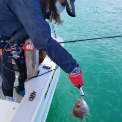 遊漁船 ニライカナイ 釣果