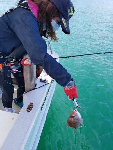 遊漁船 ニライカナイ 釣果