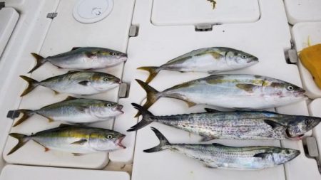 暁〜akatsuki〜 釣果