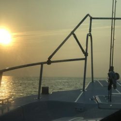 暁〜akatsuki〜 釣果