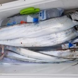 暁〜akatsuki〜 釣果