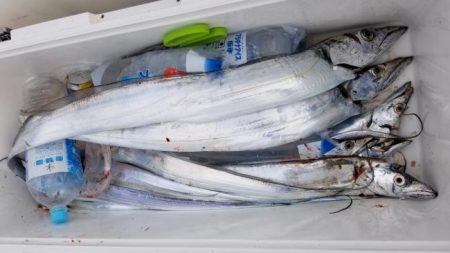 暁〜akatsuki〜 釣果