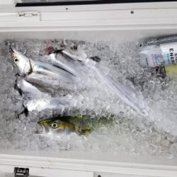 暁〜akatsuki〜 釣果