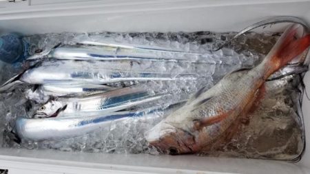 暁〜akatsuki〜 釣果