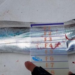 暁〜akatsuki〜 釣果