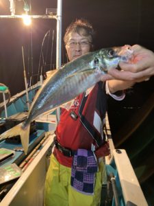 愛海丸 釣果