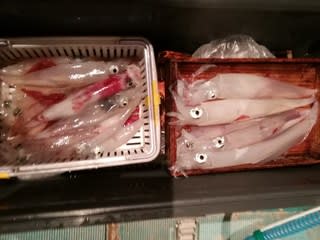 松福丸 釣果