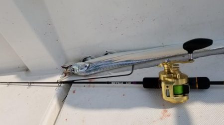 暁〜akatsuki〜 釣果